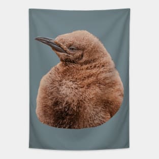 Cute baby King Penguin Tapestry