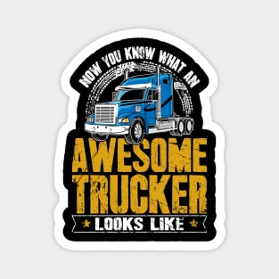 Now you know what an awesome trucker looks like Magnet