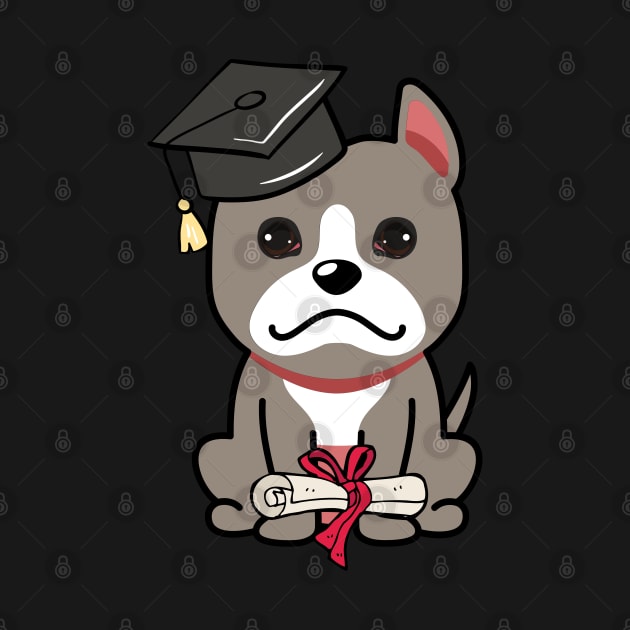 Cute grey dog is a graduate by Pet Station