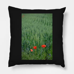 Poppies in Wheat Field Pillow