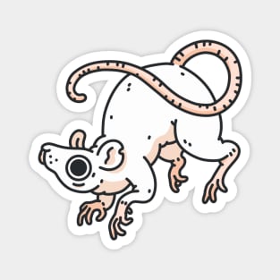 Rat Magnet