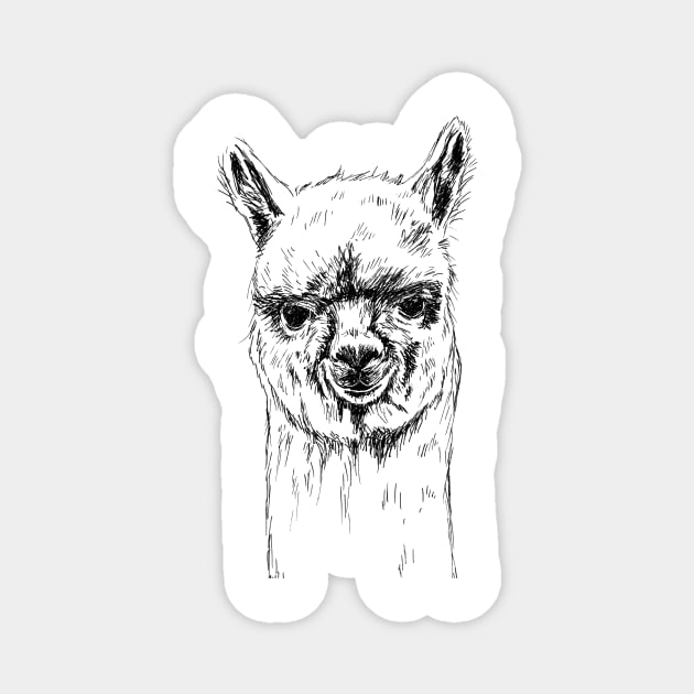 Alpaca Head Print Magnet by rachelsfinelines