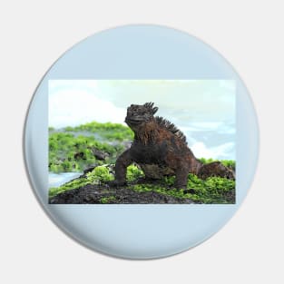 Galapagos Marine Iguana Pin