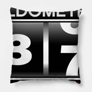 Oldometer 37 Awesome Since 1983 Funny 37th Birthday Gift Pillow