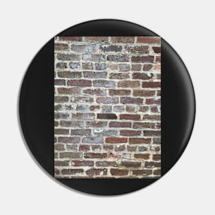 Brick Wall, Charleston, South Carolina Pin