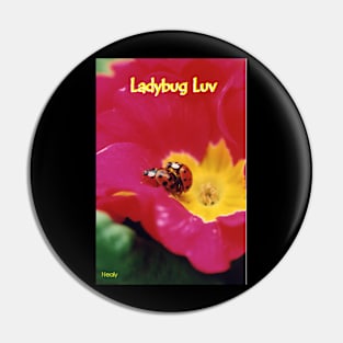 Lady Bugs . Pin