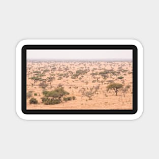 Serengeti Plains #2 Magnet