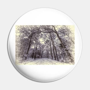 Winter Forest Path Pin