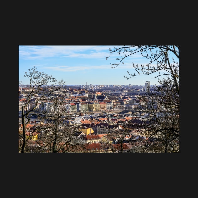 Aerial view on Prague by lena-maximova