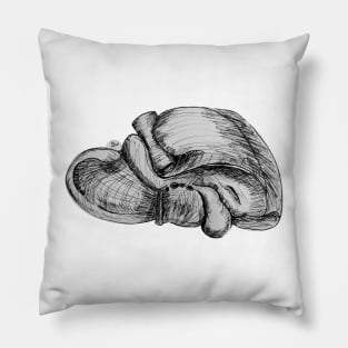 Liver Pen and Ink Illustration Pillow