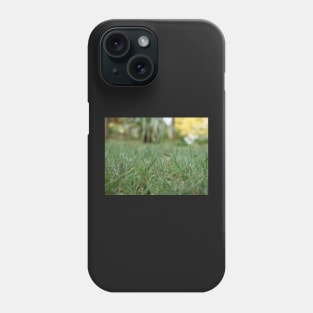 Dew drops on the grass in the morning Phone Case