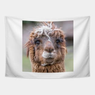 Llama Tapestry