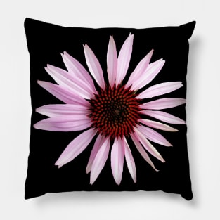 pink blooming coneflower, flower, petals, floral Pillow