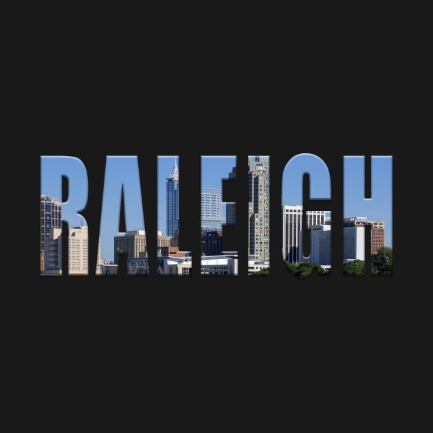 Raleigh City Skyline by swiftscuba