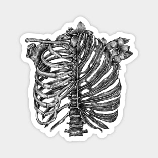 Skeleton Rib Tropical Magnet