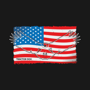 American Flag with Eagle T-Shirt