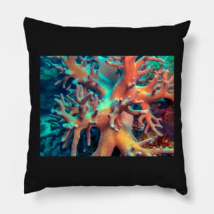 coral in the reef Pillow