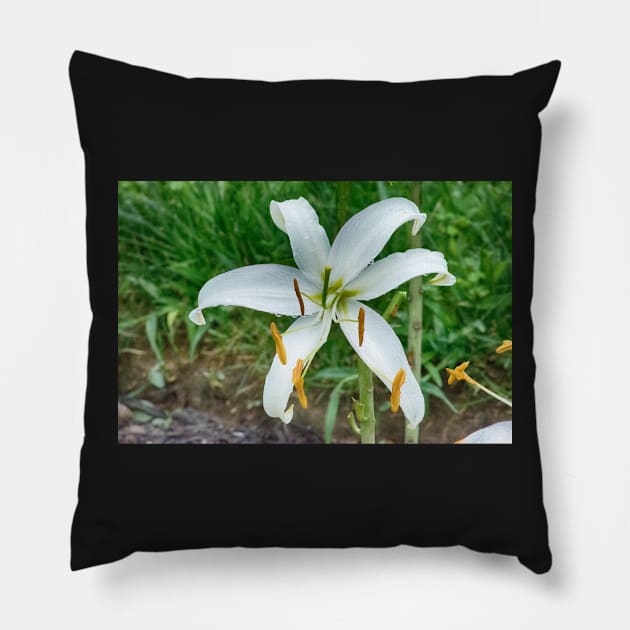 White Lilly Pillow by Imagery