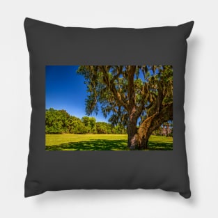 Cumberland Island National Seashore Pillow