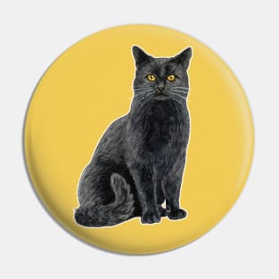 Black cat with golden eyes Pin