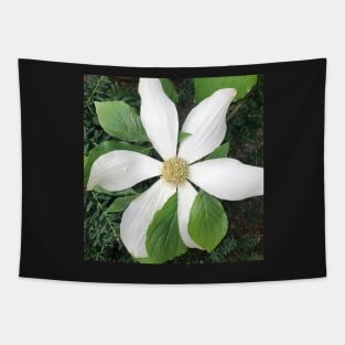 White Clematis Radiant Starburst Tapestry