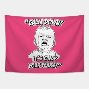 Calm Down! It's Only Four Years! Tapestry