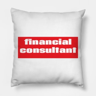 Financial Consultant Pillow