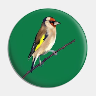 Goldfinch on a twig digital painting Pin