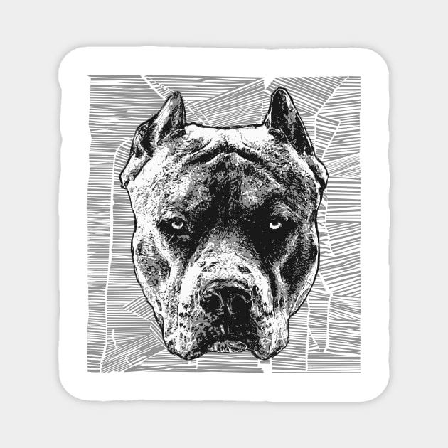 Pit bull terrier Magnet by DmitryPayvinart