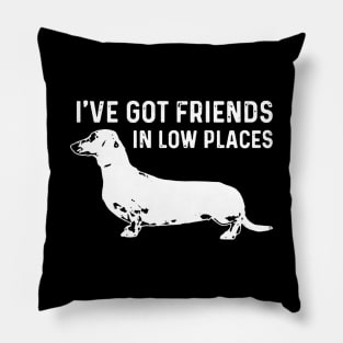 I've Got Friends in Low Places Pillow