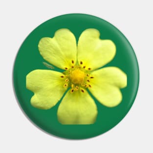 Yellow Wildflower Pin