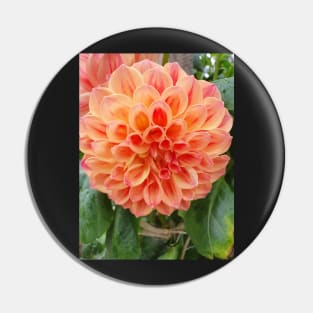 Orange and Red Dahlia Pin