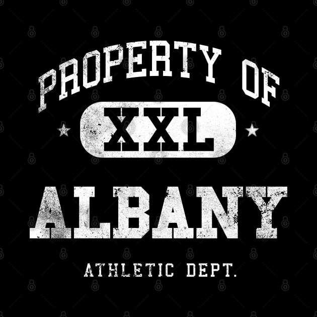 Albany Vintage Retro Distressed College Property Athletic by property_of_xxl