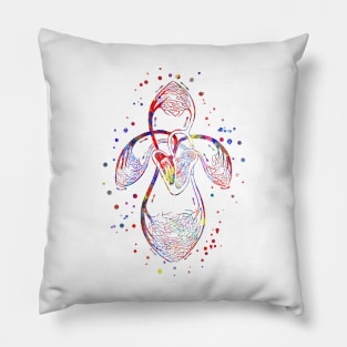 Human organs of circulation Pillow