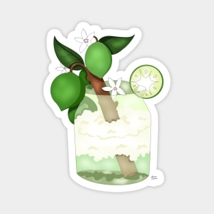 LIME CREAM SODA Magnet