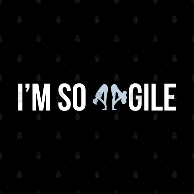 Developer I'm So Agile by thedevtee