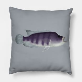 Wolf Cichlid Pillow