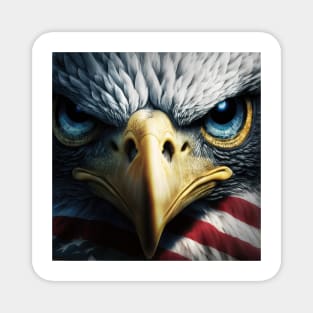 USA, Bald Eagle, America, American Flag, Magnet