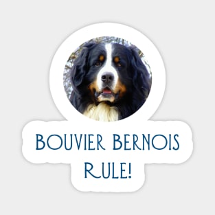 Bouvier Bernois Rule! Magnet