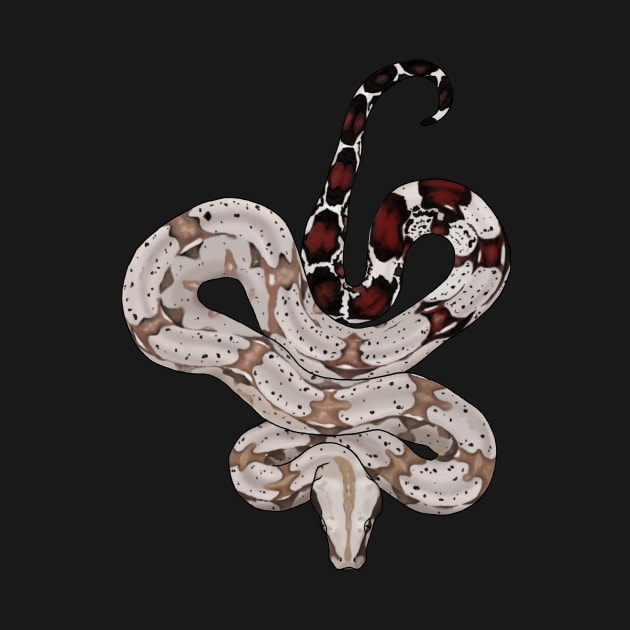 Red Tailed Boa by Tinker and Bone Studio