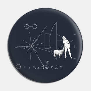 Pioneer plaque Stupid men Pin