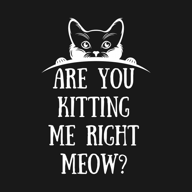 are You Kitten Me Right Meow by FalconPod