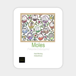 Moles Magnet