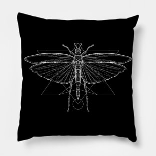 Grasshopper Pillow