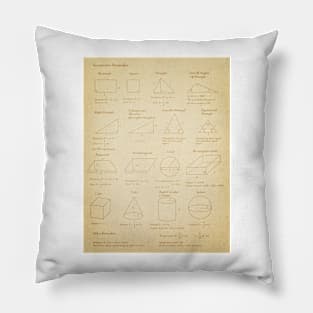 Geometric Formulas Pillow