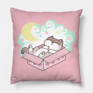 Sleepy Cat in Cardboard Box Cute Pastel Kawaii Pillow