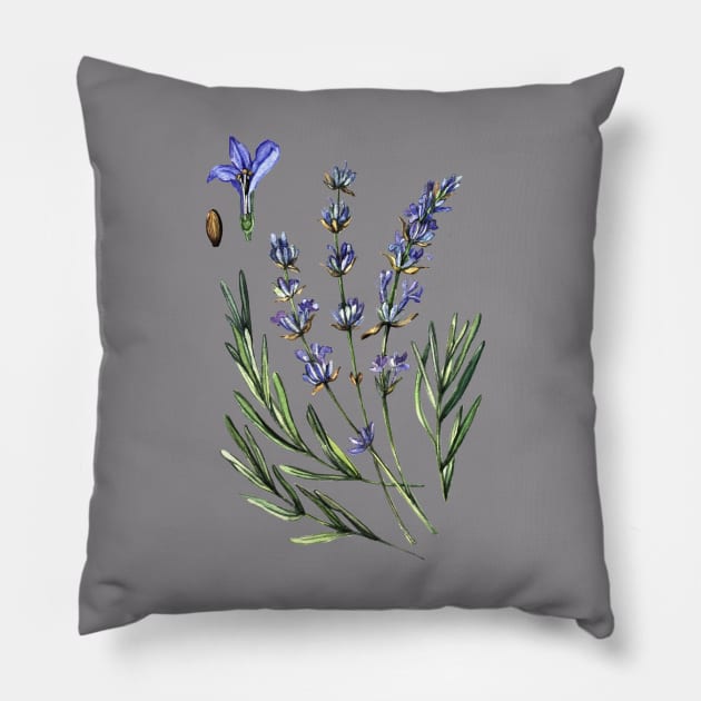 Lavander Pillow by AnnaY 