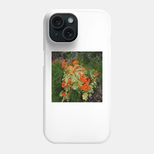 Nature  Rainy Treasures Phone Case by Binovska