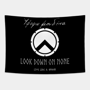 Look down on none and live better life ,apparel hoodie sticker coffee mug gift for everyone Tapestry