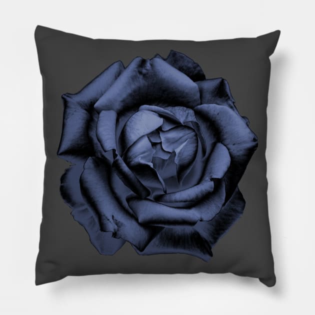 Blue Charcoal Rose Pillow by nautilusmisc